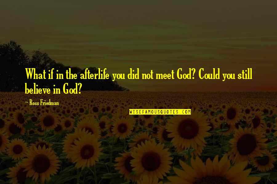 I Still Believe In Us Quotes By Ross Friedman: What if in the afterlife you did not