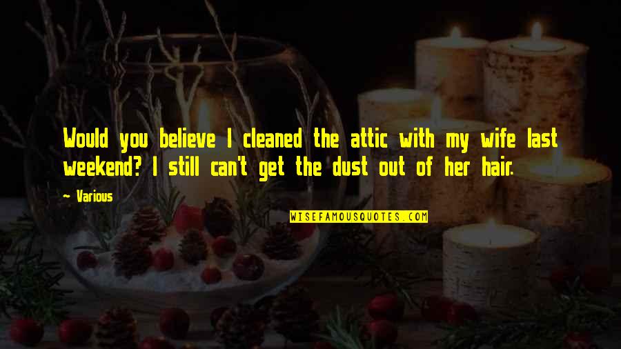 I Still Believe You Quotes By Various: Would you believe I cleaned the attic with