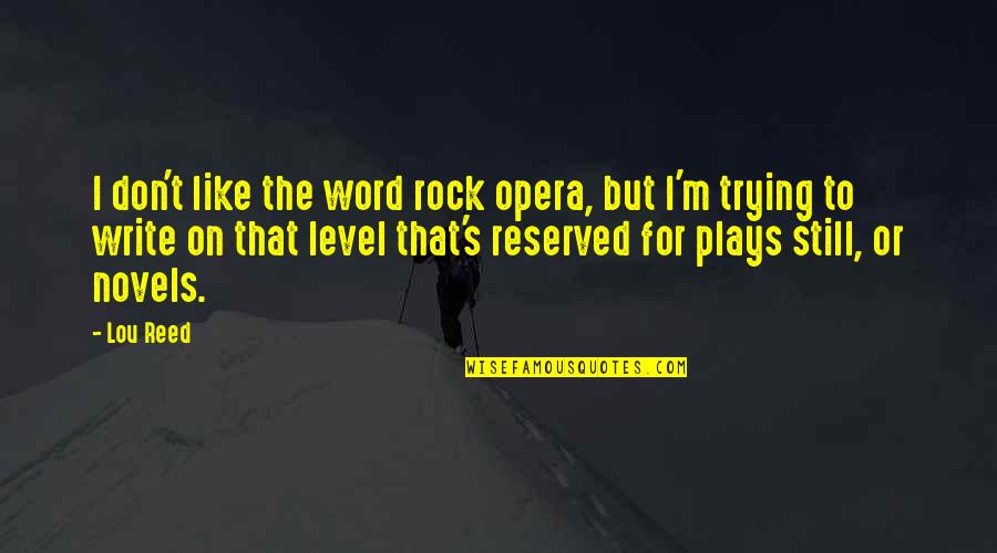 I Still Don't Like You Quotes By Lou Reed: I don't like the word rock opera, but