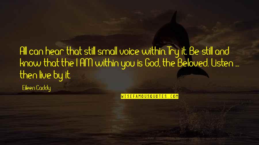 I Still Hear Your Voice Quotes By Eileen Caddy: All can hear that still small voice within.