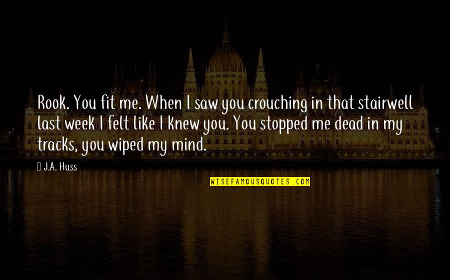 I Stopped Quotes By J.A. Huss: Rook. You fit me. When I saw you