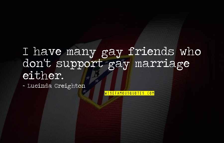 I Support Gay Quotes By Lucinda Creighton: I have many gay friends who don't support