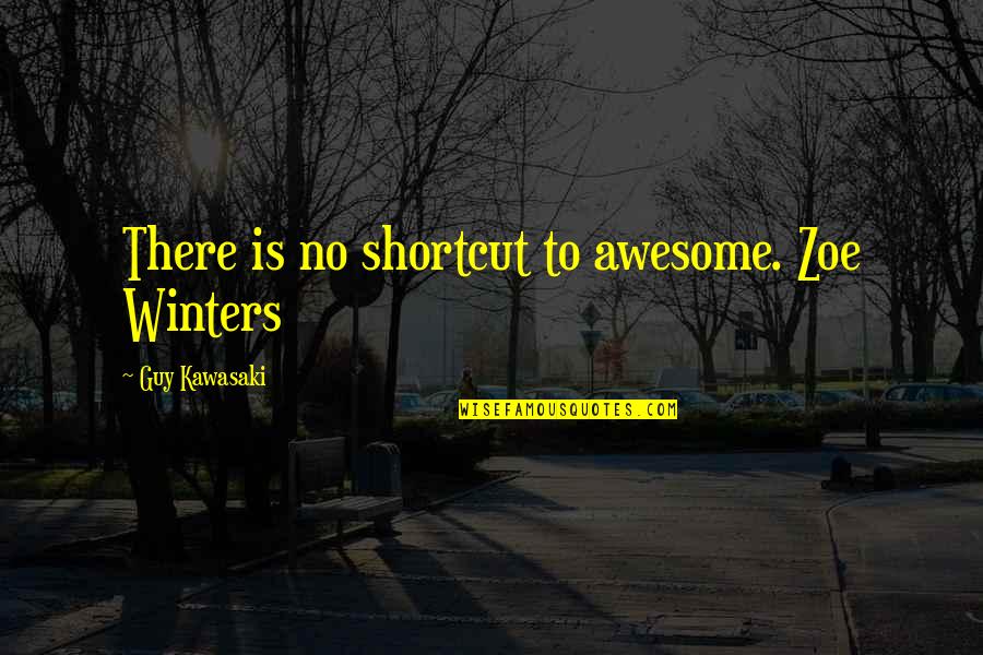 I Support Lgbt Quotes By Guy Kawasaki: There is no shortcut to awesome. Zoe Winters