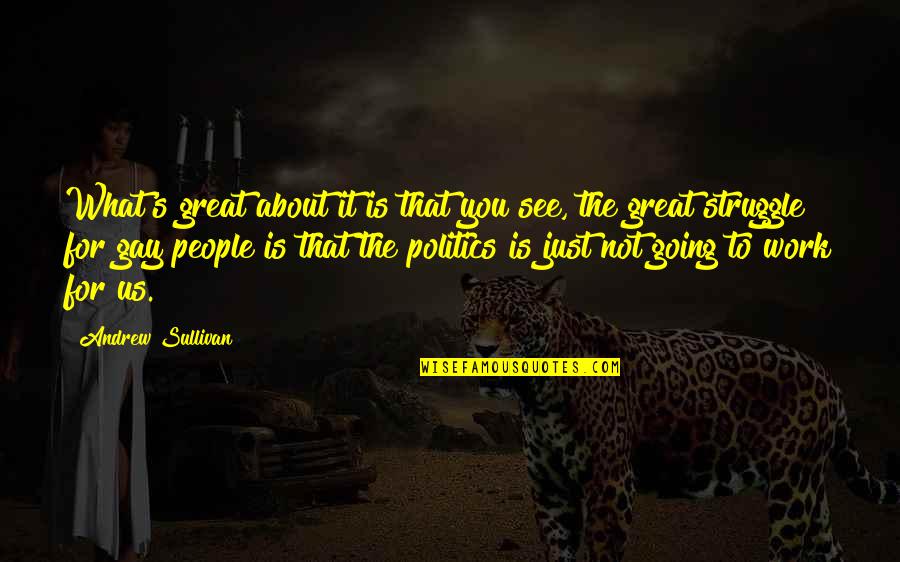I Support Palestine Quotes By Andrew Sullivan: What's great about it is that you see,