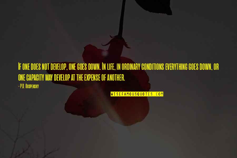 I Think I'm Better Off Alone Quotes By P.D. Ouspensky: If one does not develop, one goes down.