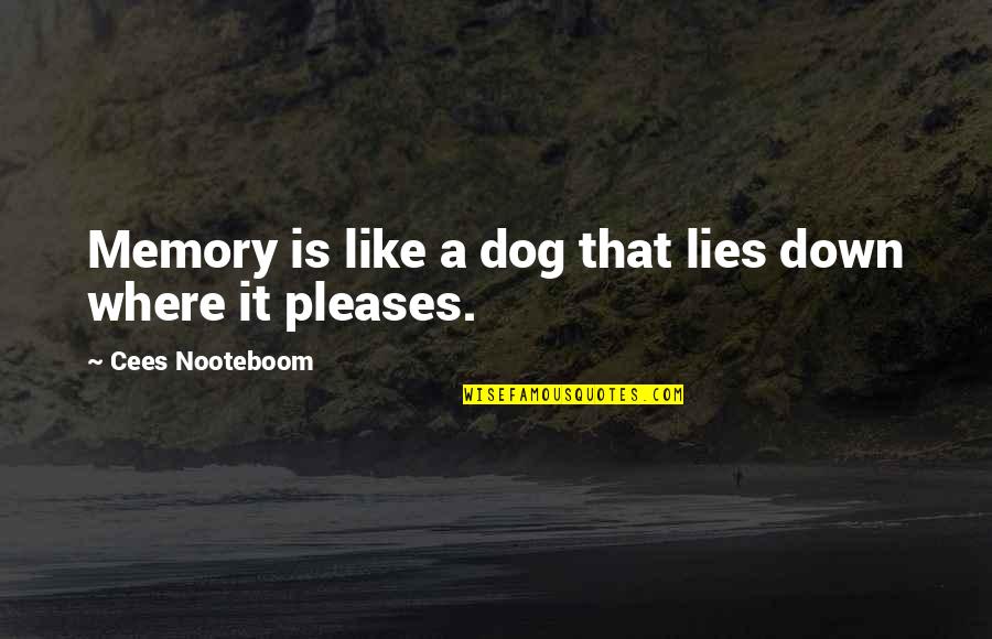 I Thought It Was True Love Quotes By Cees Nooteboom: Memory is like a dog that lies down