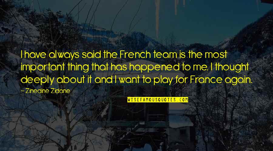 I Thought We Were A Team Quotes By Zinedine Zidane: I have always said the French team is