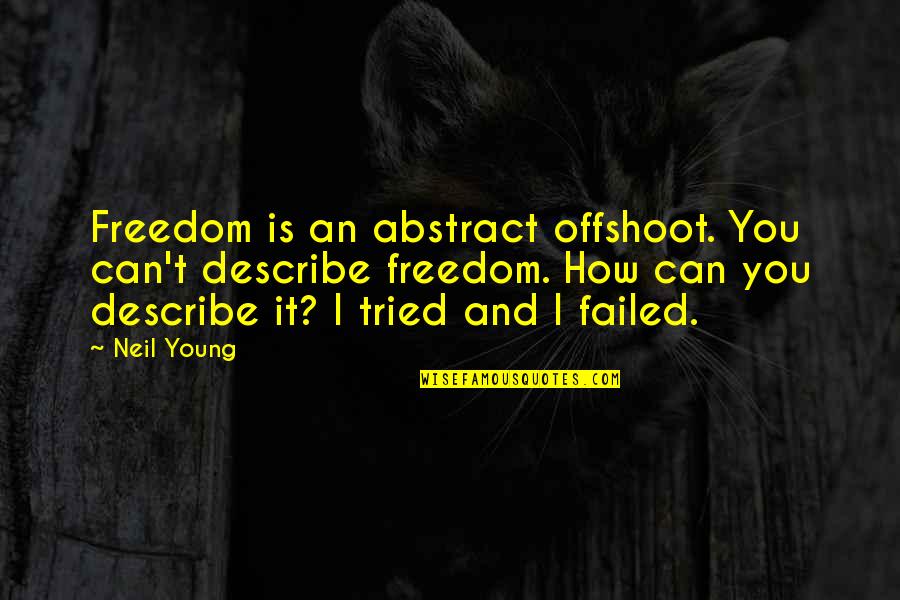 I Tried But I Failed Quotes By Neil Young: Freedom is an abstract offshoot. You can't describe