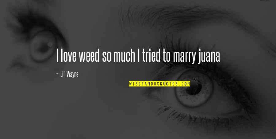 I Tried Quotes By Lil' Wayne: I love weed so much I tried to