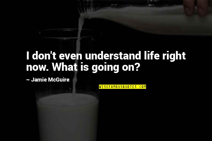 I Understand Life Quotes By Jamie McGuire: I don't even understand life right now. What