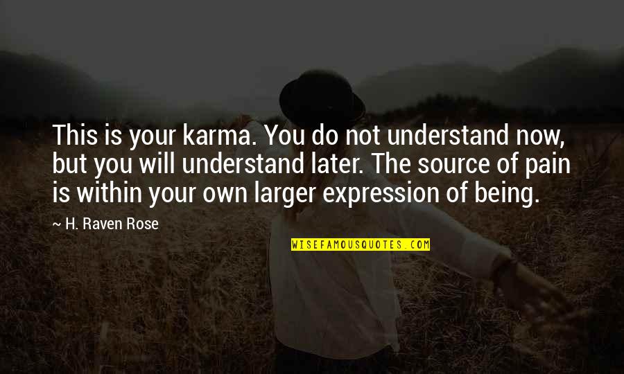 I Understand Your Pain Quotes By H. Raven Rose: This is your karma. You do not understand