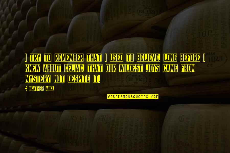 I Used To Believe Quotes By Heather Abel: I try to remember that I used to