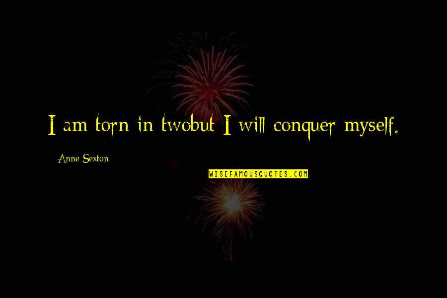 I Used To Care But Not Anymore Quotes By Anne Sexton: I am torn in twobut I will conquer