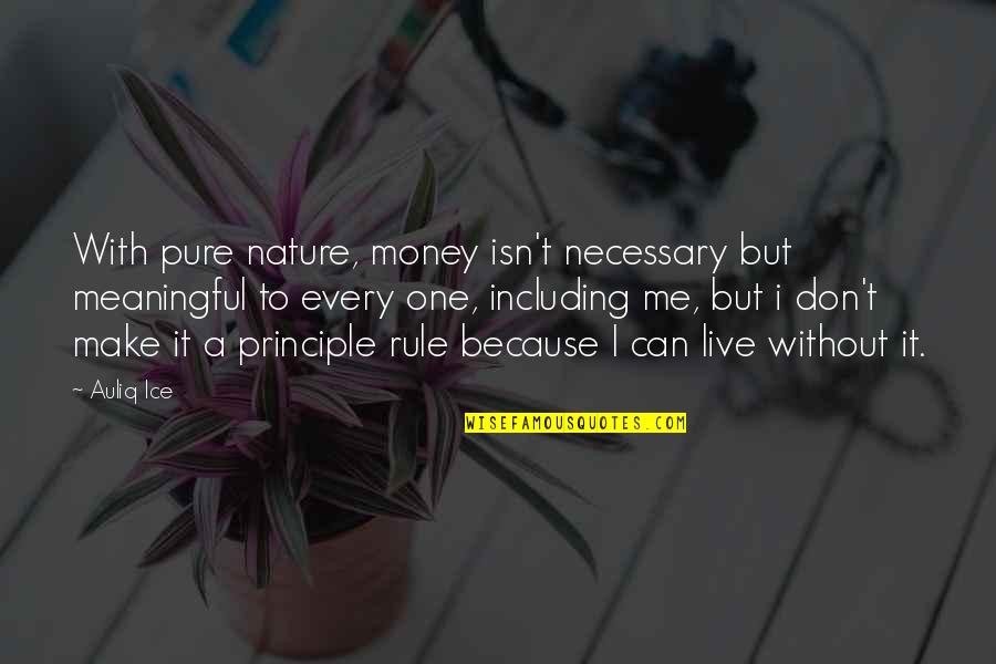 I Value Life Quotes By Auliq Ice: With pure nature, money isn't necessary but meaningful