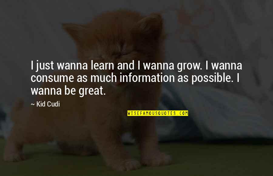 I Wanna Be Great Quotes By Kid Cudi: I just wanna learn and I wanna grow. I Wanna Be Great Quotes By Kid Cudi: I just wanna learn and I wanna grow.