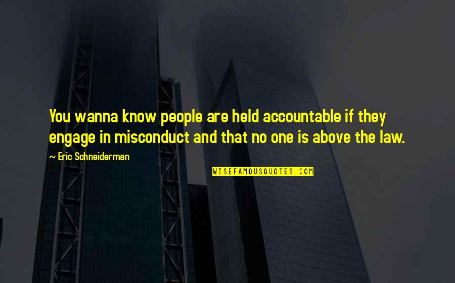 I Wanna Be The One Quotes By Eric Schneiderman: You wanna know people are held accountable if