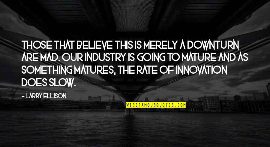 I Wanna Feel Loved Quotes By Larry Ellison: Those that believe this is merely a downturn