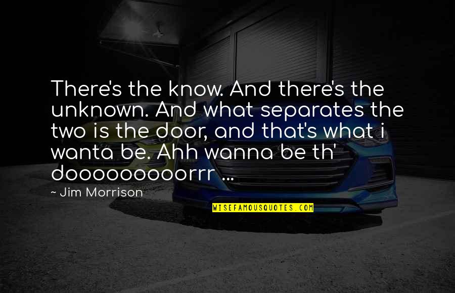 I Wanna Know U Quotes By Jim Morrison: There's the know. And there's the unknown. And