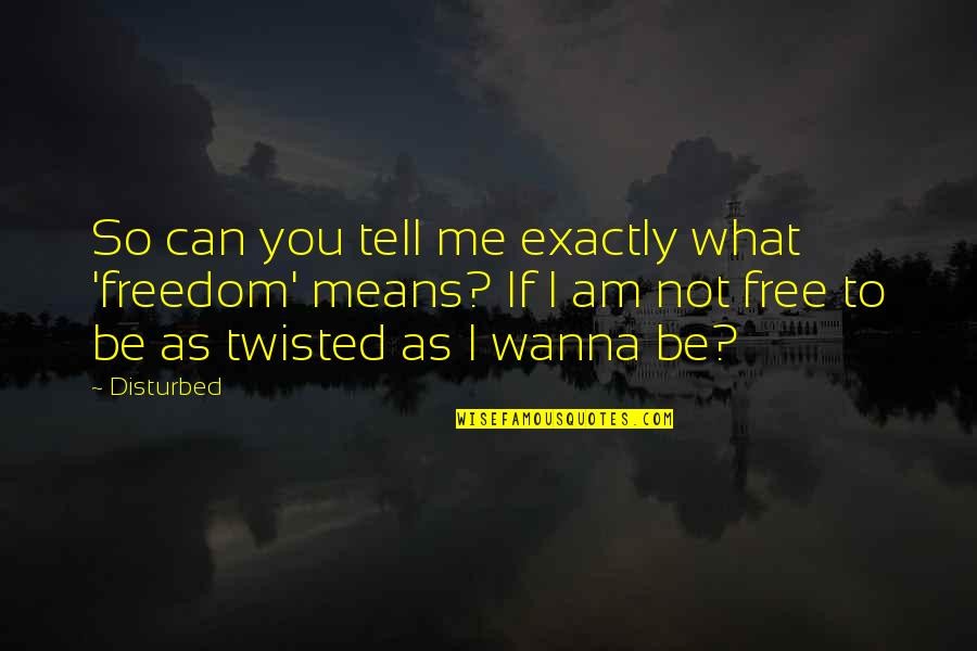 I Wanna Tell You Quotes By Disturbed: So can you tell me exactly what 'freedom'