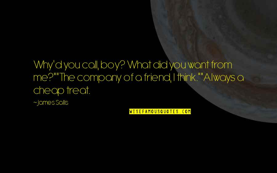 I Want A Friend Quotes By James Sallis: Why'd you call, boy? What did you want