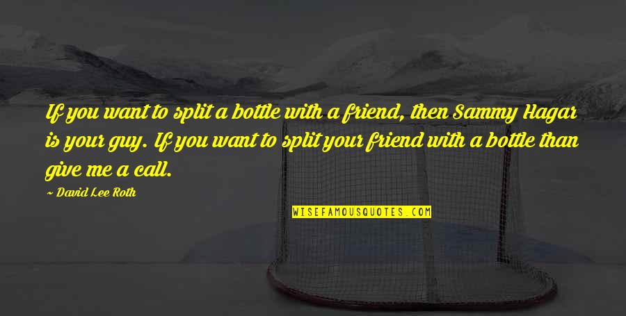 I Want A Guy Friend Quotes By David Lee Roth: If you want to split a bottle with