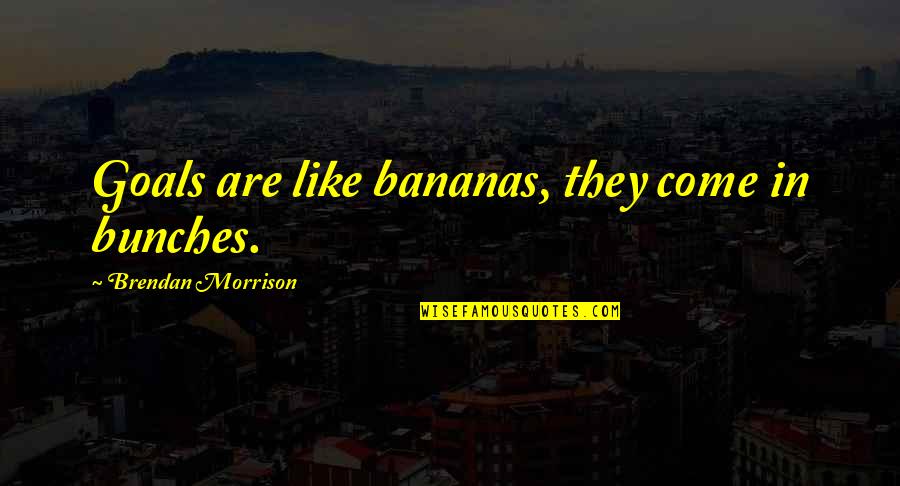 I Want A Playful Relationship Quotes By Brendan Morrison: Goals are like bananas, they come in bunches.