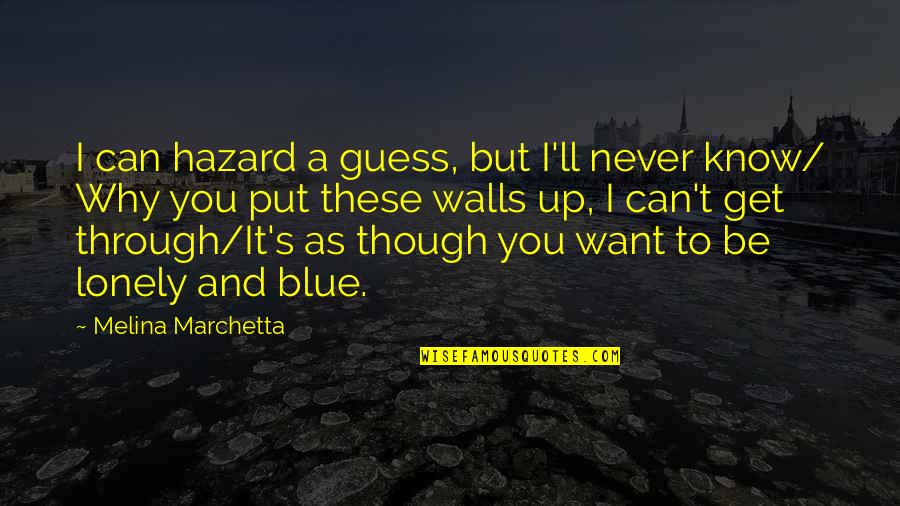 I Want Get To Know You Quotes By Melina Marchetta: I can hazard a guess, but I'll never