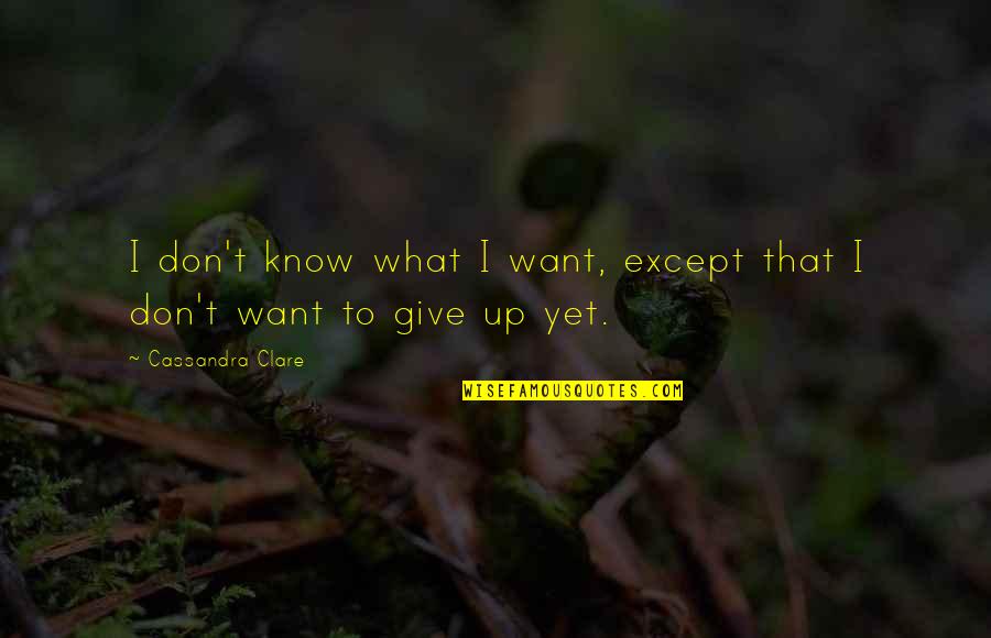 I Want Give Up Quotes By Cassandra Clare: I don't know what I want, except that