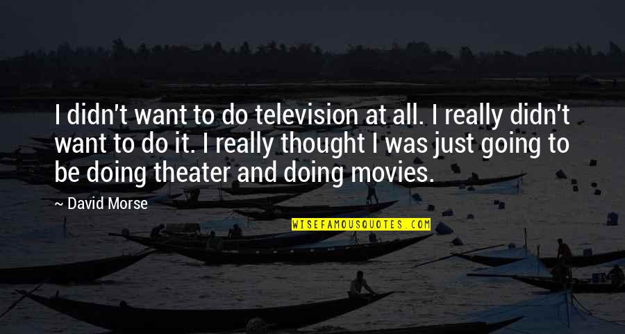 I Want It All Quotes By David Morse: I didn't want to do television at all.