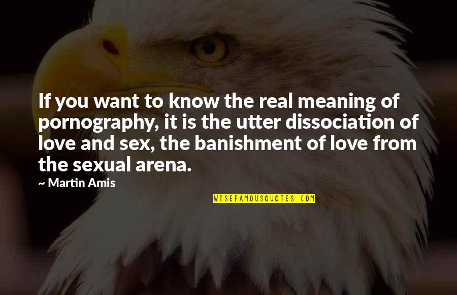 I Want Real Love Quotes By Martin Amis: If you want to know the real meaning