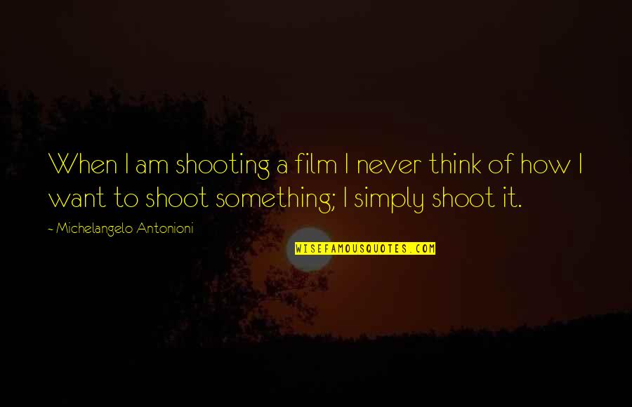 I Want Something Quotes By Michelangelo Antonioni: When I am shooting a film I never