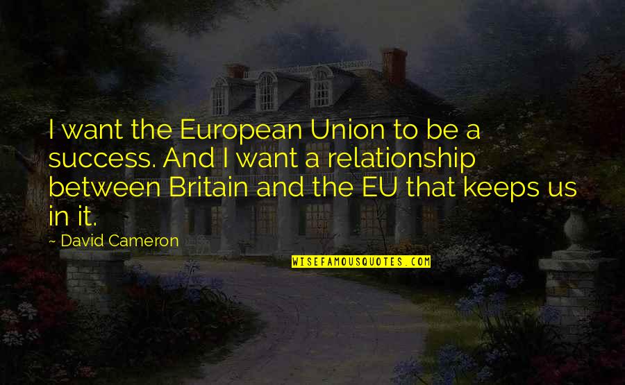 I Want To Be Quotes By David Cameron: I want the European Union to be a
