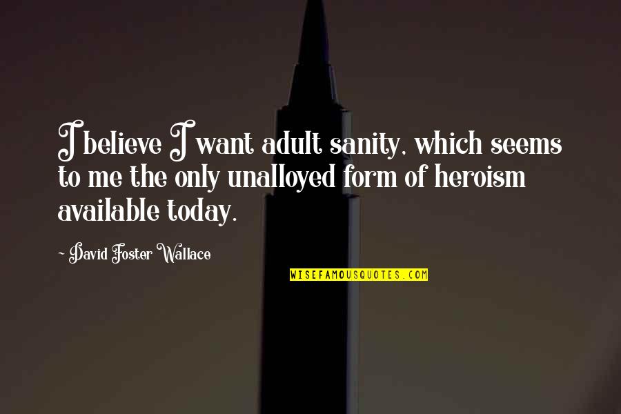 I Want To Believe Quotes By David Foster Wallace: I believe I want adult sanity, which seems I Want To Believe Quotes By David Foster Wallace: I believe I want adult sanity, which seems