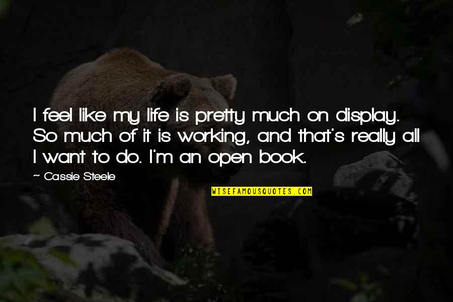 I Want To Do It All Quotes By Cassie Steele: I feel like my life is pretty much