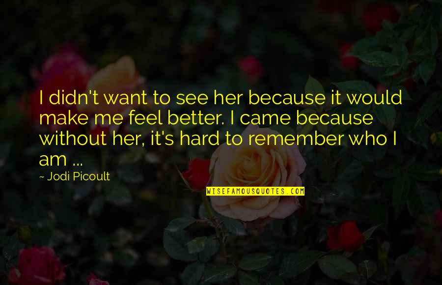 I Want To Feel Better Quotes By Jodi Picoult: I didn't want to see her because it