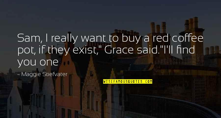 I Want To Find You Quotes By Maggie Stiefvater: Sam, I really want to buy a red