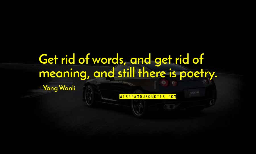 I Want To Go Far Away From This World Quotes By Yang Wanli: Get rid of words, and get rid of