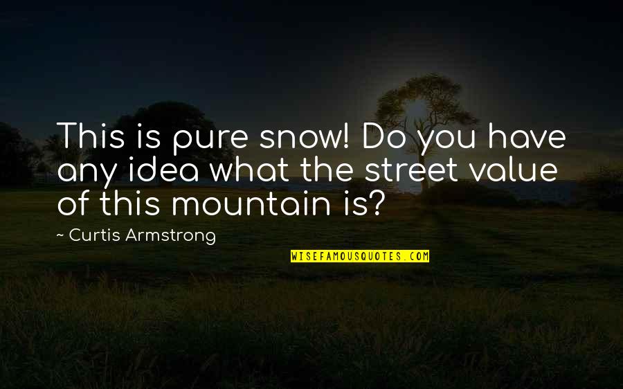 I Want To Go Hiking Quotes By Curtis Armstrong: This is pure snow! Do you have any