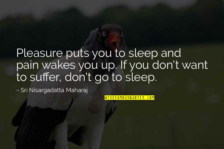 I Want To Go To Sleep Quotes By Sri Nisargadatta Maharaj: Pleasure puts you to sleep and pain wakes