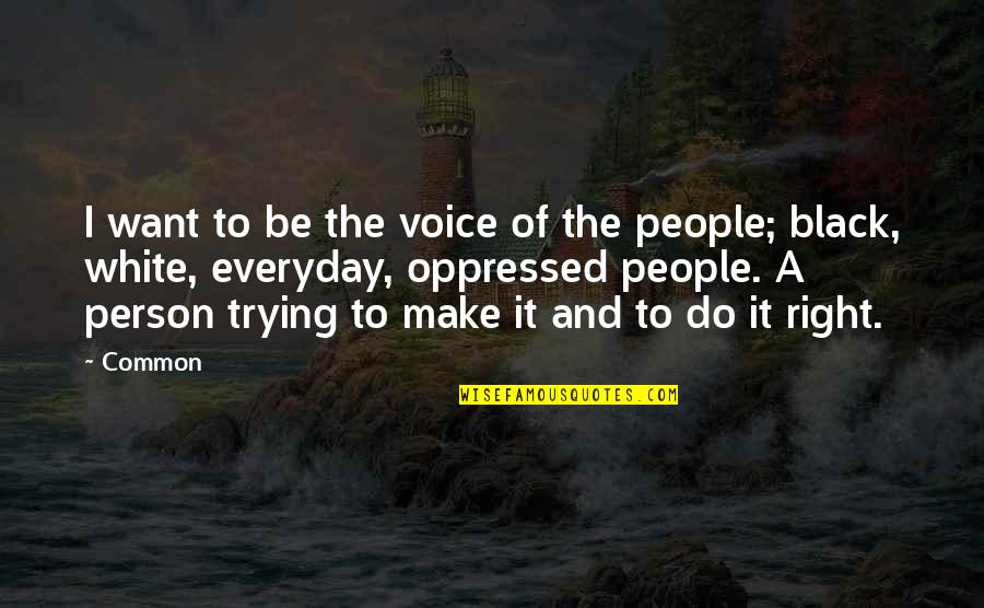 I Want To Make It Right Quotes By Common: I want to be the voice of the