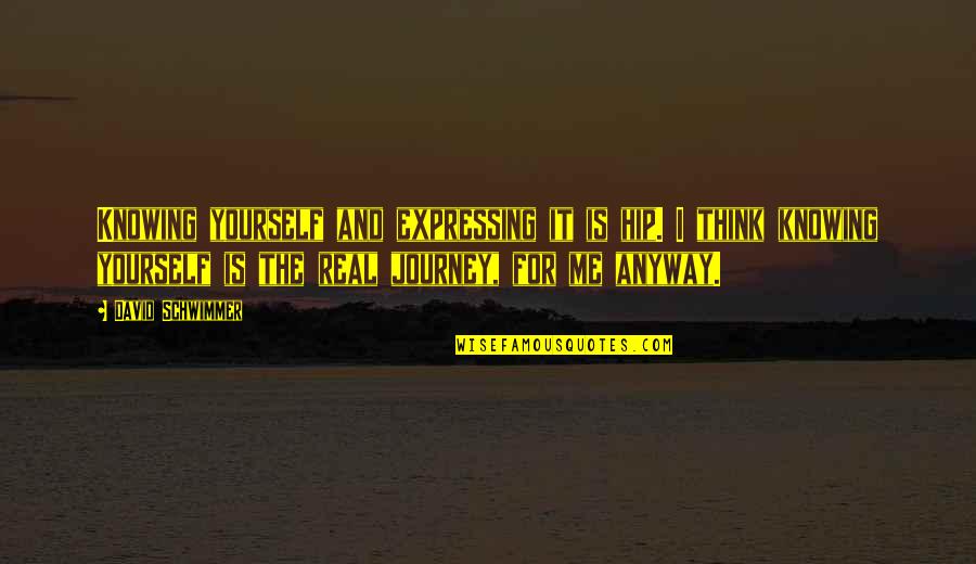 I Want To Make Love To Your Mind Quotes By David Schwimmer: Knowing yourself and expressing it is hip. I