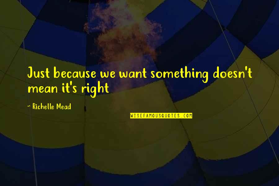 I Want To Mean Something Quotes By Richelle Mead: Just because we want something doesn't mean it's