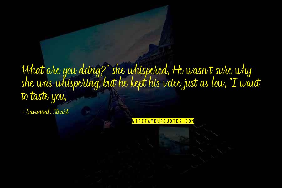 I Want To Taste You Quotes By Savannah Stuart: What are you doing?" she whispered. He wasn't I Want To Taste You Quotes By Savannah Stuart: What are you doing?" she whispered. He wasn't