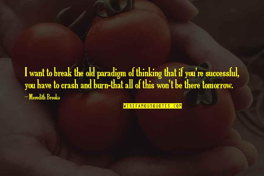 I Want You All Of You Quotes By Meredith Brooks: I want to break the old paradigm of