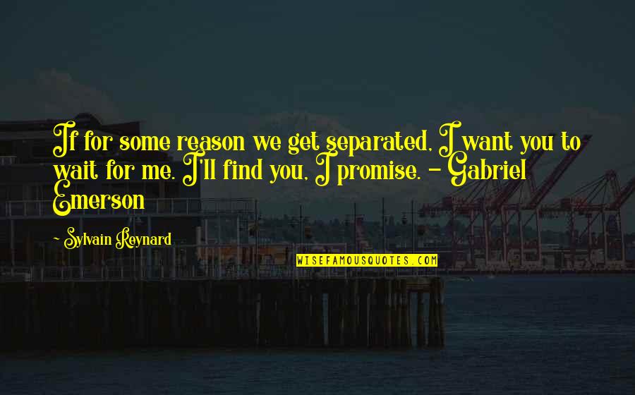 I Want You For You Quotes By Sylvain Reynard: If for some reason we get separated, I