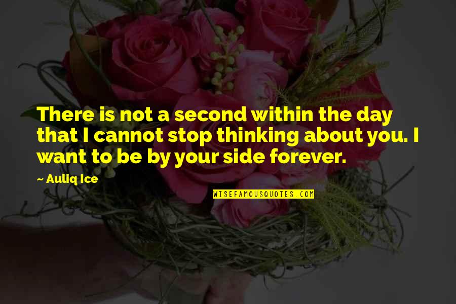 I Want You Forever Quotes By Auliq Ice: There is not a second within the day