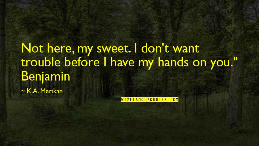 I Want You Here Quotes By K.A. Merikan: Not here, my sweet. I don't want trouble