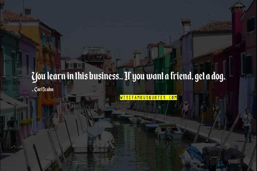 I Want You More Than A Friend Quotes By Carl Icahn: You learn in this business.. If you want