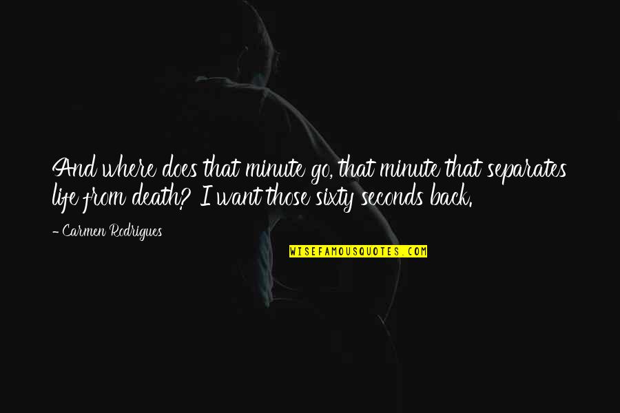 I Want You To Go Back Quotes By Carmen Rodrigues: And where does that minute go, that minute