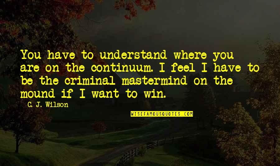 I Want You To Win Quotes By C. J. Wilson: You have to understand where you are on